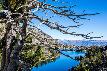 Autumn landscape in Aiguestortes and Sant Maurici National Park, Spain