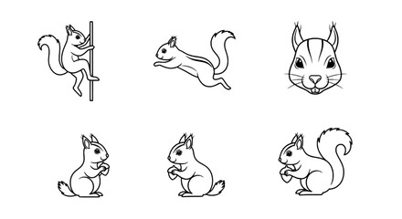 Fototapeta premium Squirrel Outline Vector Set Cute Wildlife Illustrations