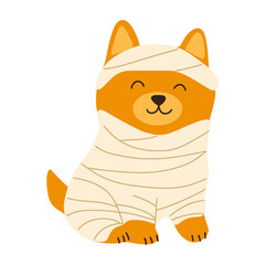 Halloween dog celebrating, halloween decor, adorable corgi wrapped in bandages