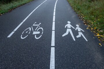 Bicycle lane and pedestrian lane dividing white lines on asphalt road
