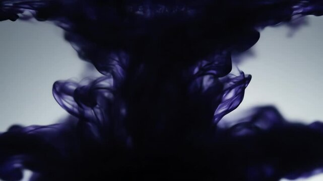 Black Ink Cloud Swirling in Clear Water