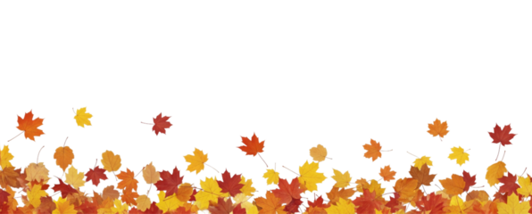Autumn leaves background, Autumn banner with orange leaves, with copy space, isolated on white or transparent background