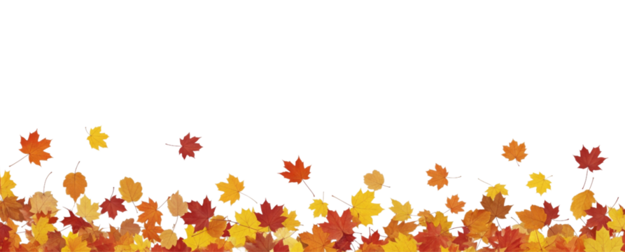 Autumn leaves background, Autumn banner with orange leaves, with copy space, isolated on white or transparent background