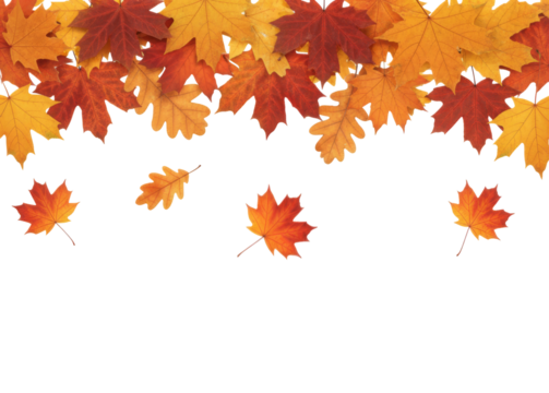 Autumn leaves background, Autumn banner with orange leaves, with copy space, isolated on white or transparent background - Powered by Adobe