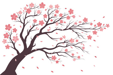 cherry blossom branch