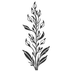 tulip flower illustration grey