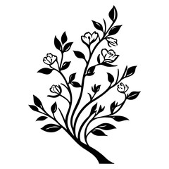 blossom flower illustration sketch