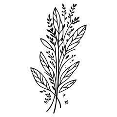 spring grass leaf Easter butterfly illustration sketch draw