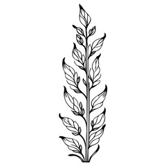 Fototapeta premium tulip flower illustration sketch hand draw