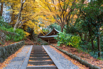 Fototapeta premium Hyogo, Japan. Arima Onsen Tansan Sen-gen Koen (Carbonated Hot Spring Source Park), showcasing beautiful autumn scenery.