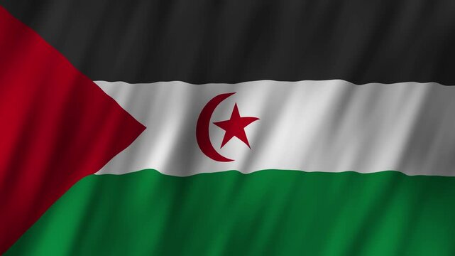 Celebration of national pride and cultural heritage in western sahrawi