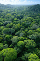 Obraz premium aerial photography breathtaking beauty of tropical forests in brazil highlighting lush green canopies and intricate