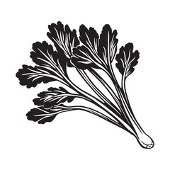 Celery vector silhouette.