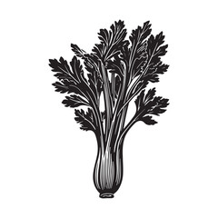 Celery vector silhouette.