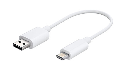 Fototapeta premium USB cable electronic connector charging wire data transfer accessory technology device plug equipment portable gadget isolated on white background