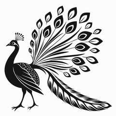 Fototapeta premium Elegant black silhouette of a peacock with its elaborate fanned tail feathers displayed against a clean white background showcasing intricate detail and graceful form