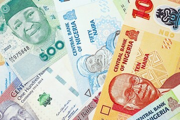 Nigerian naira currency money. The current banknotes lies on table in big amount