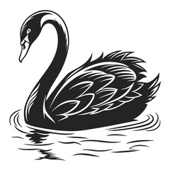 Elegant black swan with detailed feathers gracefully swimming on rippling water in a stylized black and white illustration