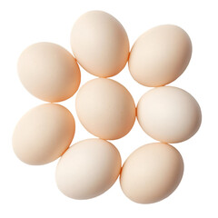 eggs on white background