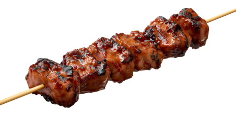 shish kebab on a skewer