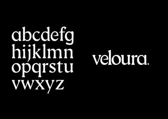 A refined serif that blends graceful curves with bold precision, evoking luxury and modern elegance.