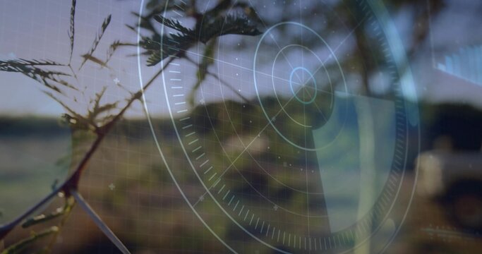 Displaying slender tree branch carrying leaves over rural field, with HUD overlay and grid lines