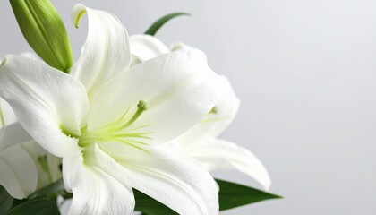 Elegant White Lily Bouquet: Pure Petals on a Clean White Background for a Serene Floral Arrangement