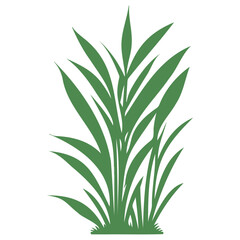 Obraz premium grass garden illustration green