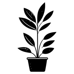 plant pot illustration sketch hand draw