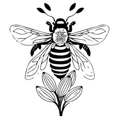 Bee on flower spring illustration sketch hand draw