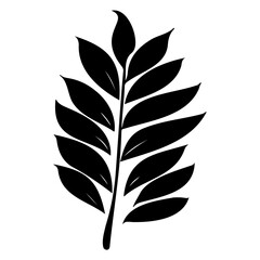 leaf nature illustration sketch hand draw