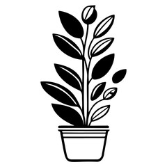 plant pot illustration sketch hand draw