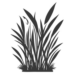grass garden illustration grey