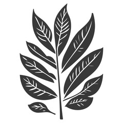 leaf nature illustration grey