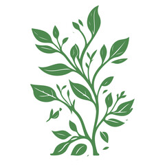 blossom flower illustration green