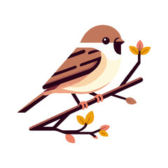 
sparrow illustration design