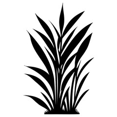 grass garden illustration sketch hand draw