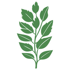 leaf nature illustration green