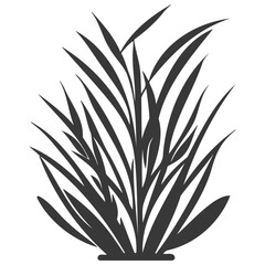 grass garden illustration grey