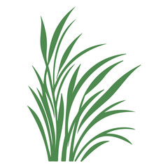 grass garden illustration green
