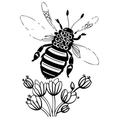 Bee on flower spring illustration sketch hand draw