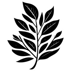 leaf nature illustration sketch hand draw