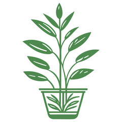 plant pot illustration green