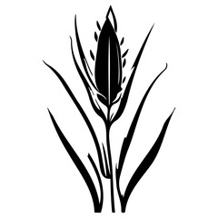 aloe flower illustration sketch