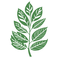 leaf nature illustration green