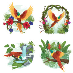 Obraz premium Collection of detailed vector illustrations of the Lesser Bird-of-Paradise in a tropical jungle setting