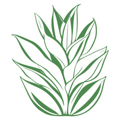 aloe flower illustration green