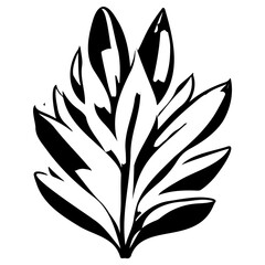 aloe flower illustration sketch