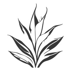 aloe flower illustration grey
