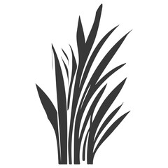 grass garden illustration grey